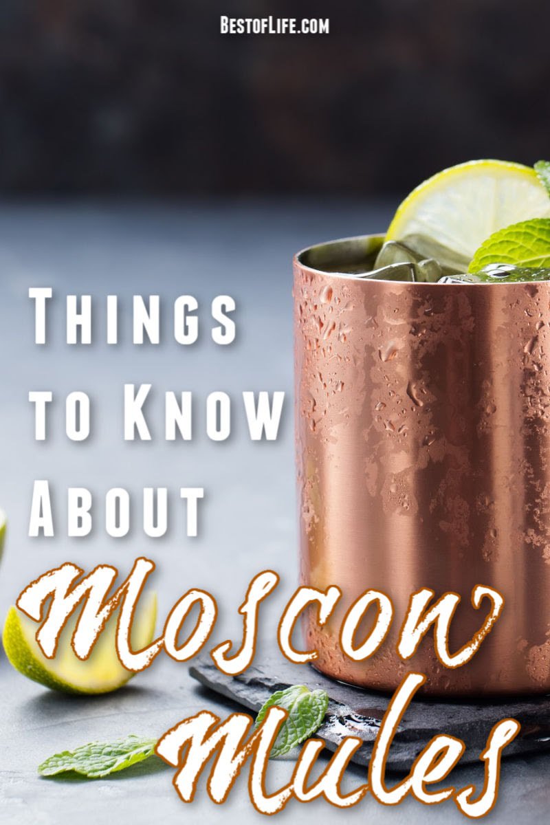 When you understand the best things to know about Moscow Mules, you will have a deeper appreciation for the classic cocktail, the Moscow Mule. Moscow Mule Recipes | Fall Cocktails | Best Cocktails | Vodka Cocktails #cocktails #moscowmule 