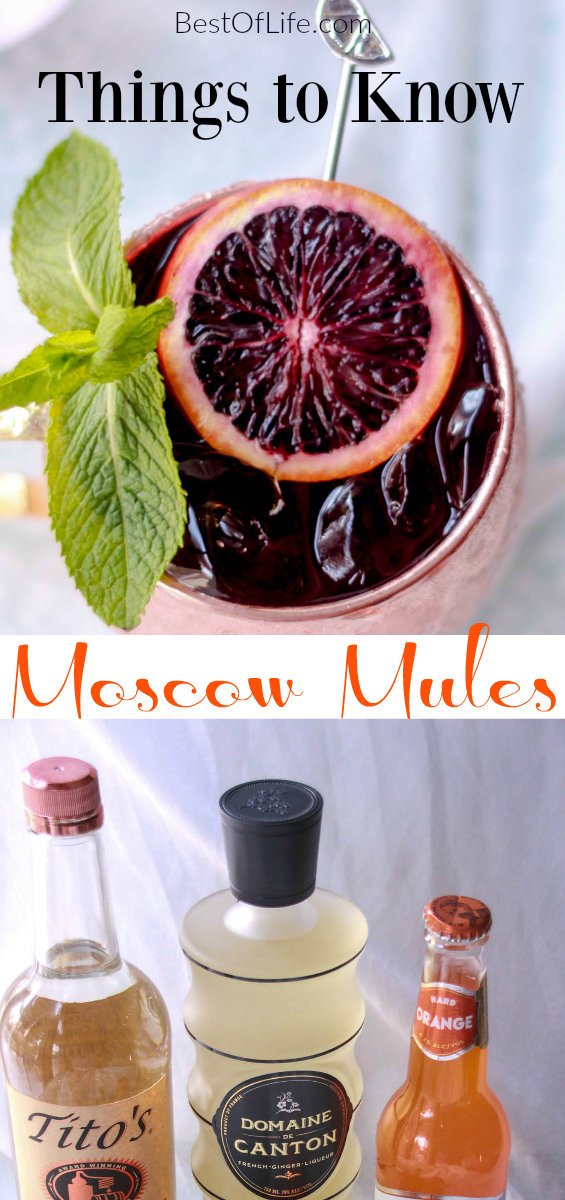 Some of the best things to know about Moscow Mules tell you more about the cocktail making process. Sometimes the best ideas are out of desperation. via @thebestoflife