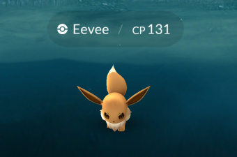 Pokemon Go is taking over the globe. These Pokemon Go Cheats and Hacks are simple ways to get ahead in the game a little more easily! Cheats for Pokemon Go | Hacks for Pokemon Go | How to Play Pokemon Go | Best Pokemon Go Tips #pokemon #pokemongo #hacks #cheats