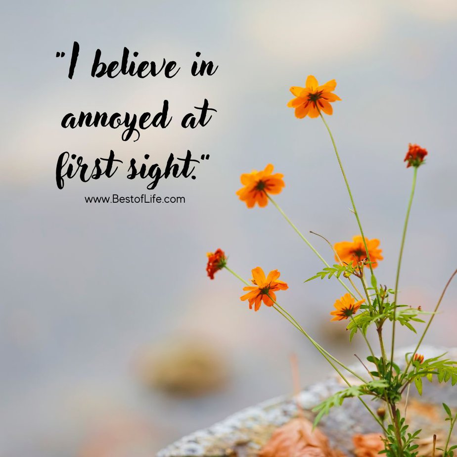 Great Quotes when you are Feeling Sarcastic "I believe in annoyed at first sight."