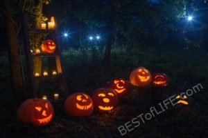 Best Pumpkin Patches in Orange County