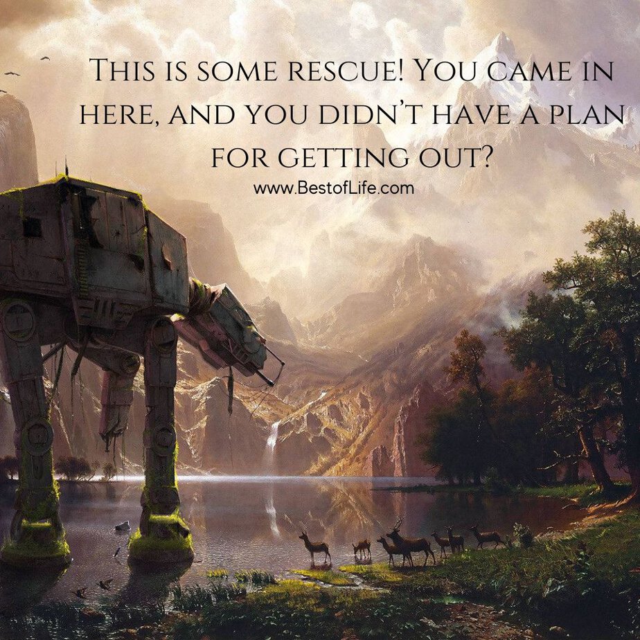 Princess Leia Quotes This is some rescue! You came in here, and you didn't have a plan for getting out?