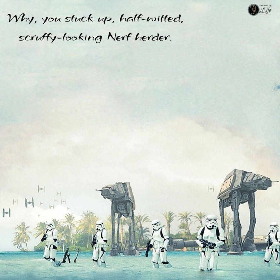 Princess Leia Quotes Why, you stuck up, half-witted, scruffy-looking Nerf herder.