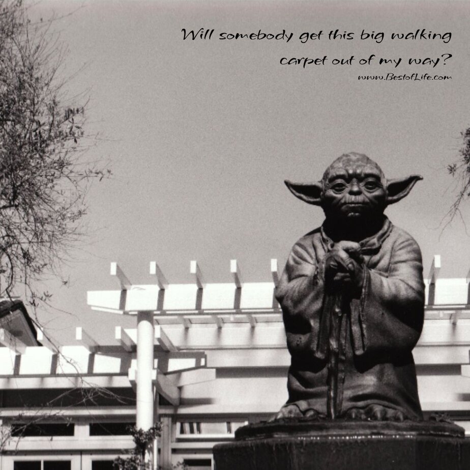 Princess Leia Quotes Will somebody get this big walking carpet out of my way?