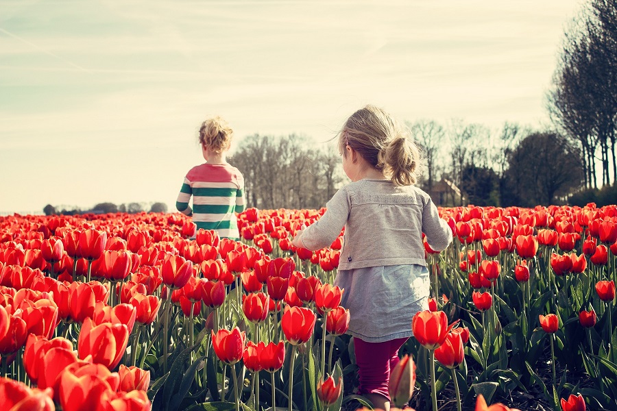 Spring Wreath Ideas for Your Front Door View of Two Children Running Through a Field of Red Flowers