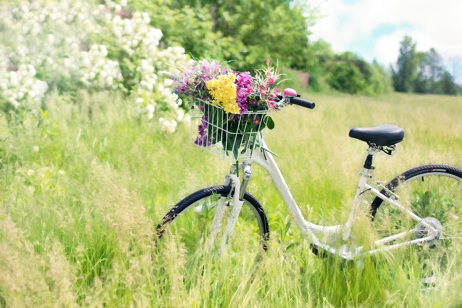 Spring Wreath Ideas for Your Front Door View of a Bike in a Field of Tall Grass with a Basket on the Front Filled with Flowers