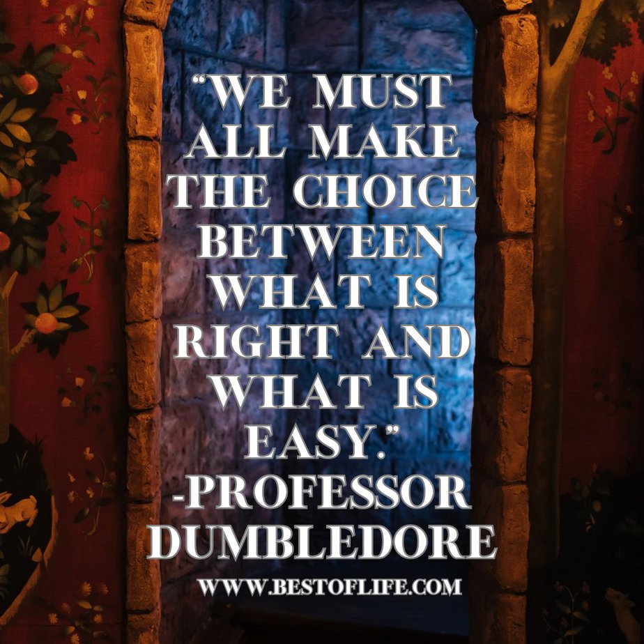 Quotes for Boys Room "We must all make the choice between what is right and what is easy." -Professor Dumbledore