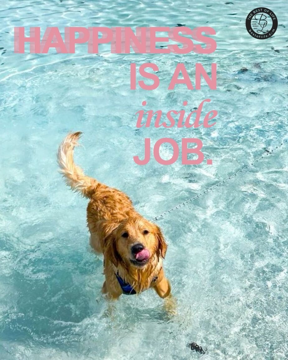 Short Quotes About Happiness "Happiness is an inside job."