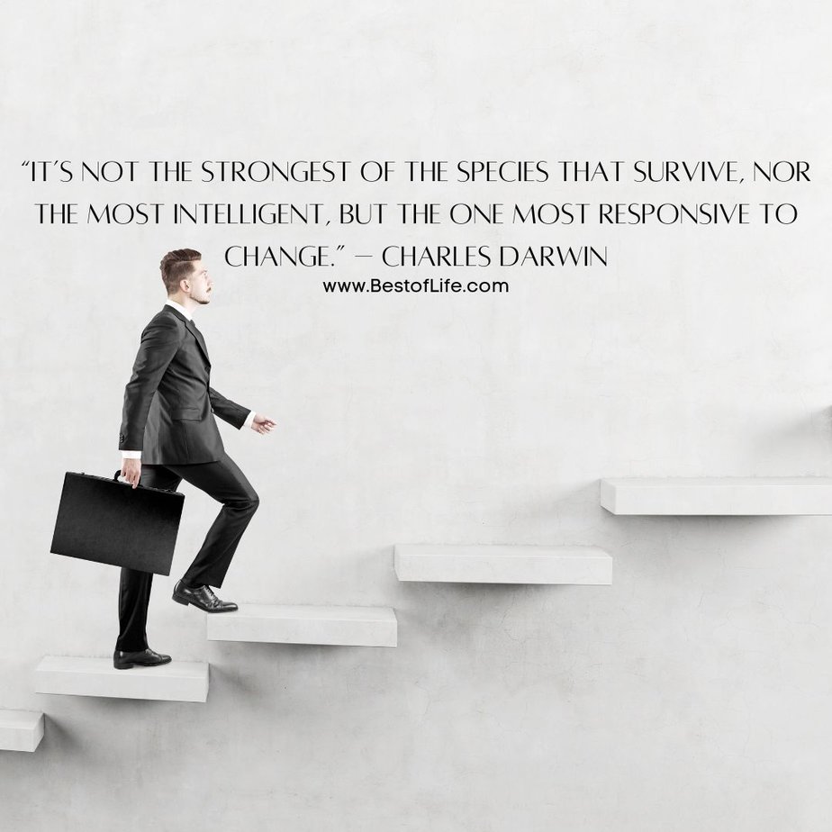 Success Quotes for Men "It's not the strongest of the species that survive, nor the most intelligent, but the one most responsive to change." - Charles Darwin