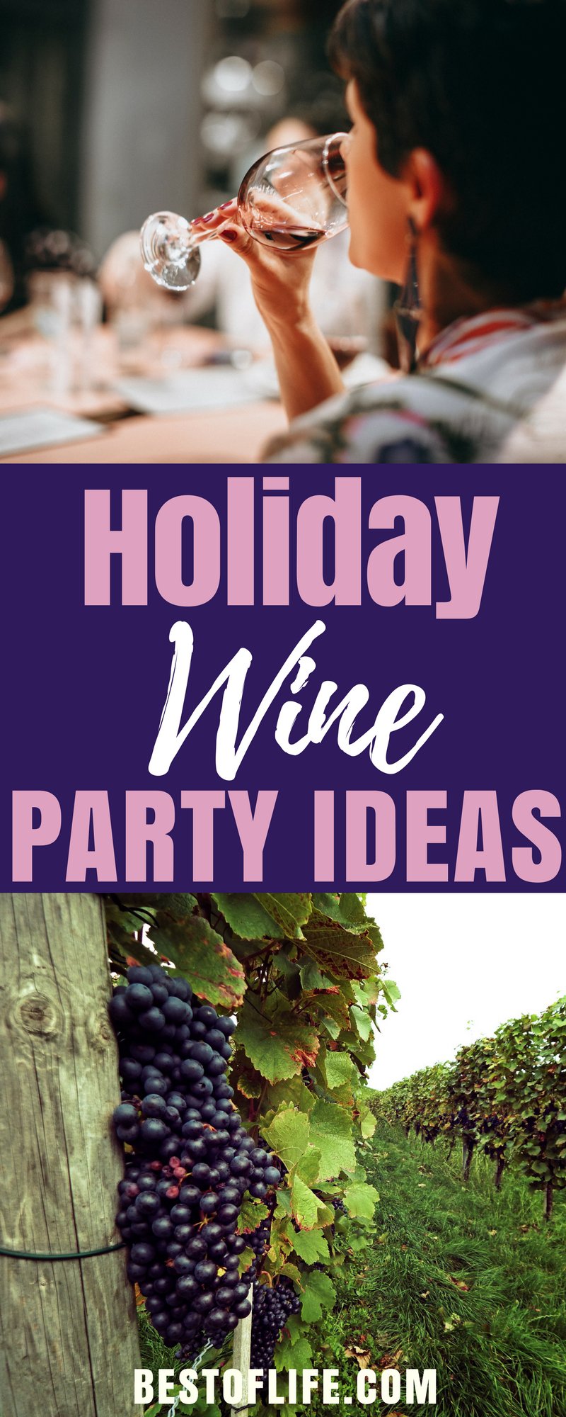 Holiday Wine Party Ideas Provence France Wines The Best of Life