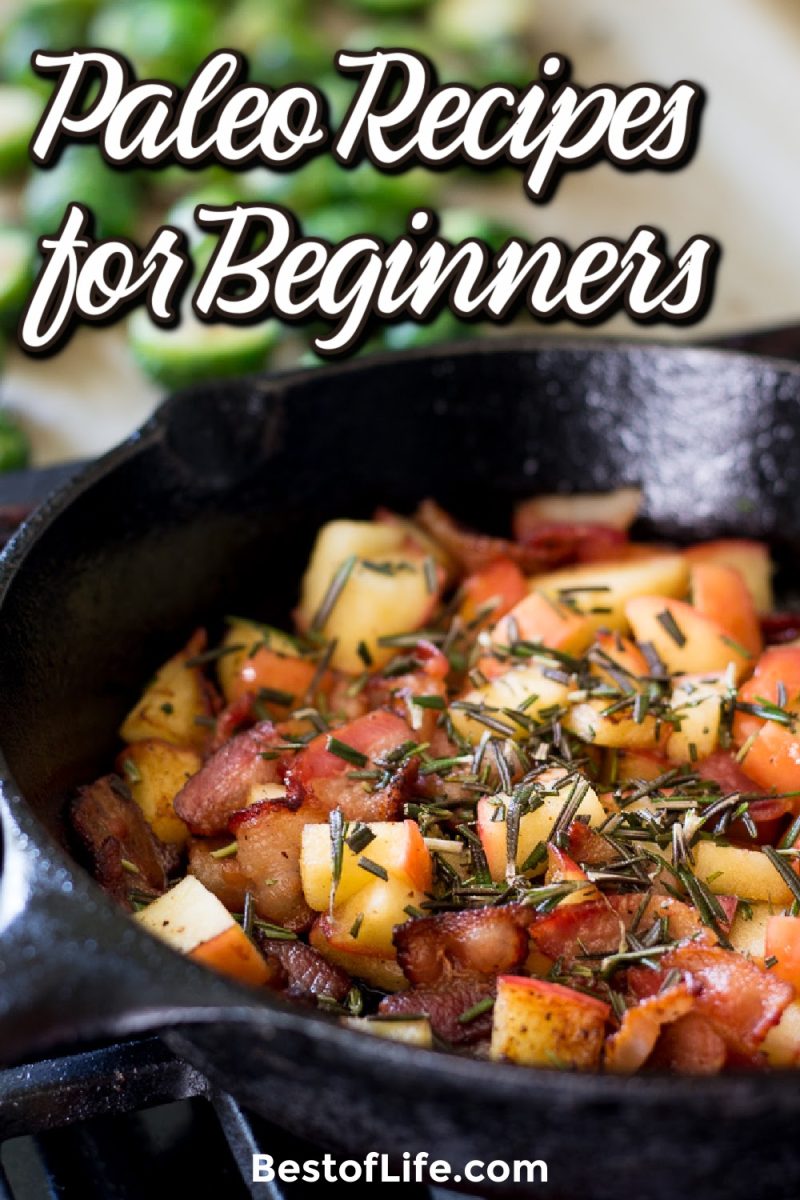 25 Easy Paleo Recipes for Beginners to Enjoy The Best of Life