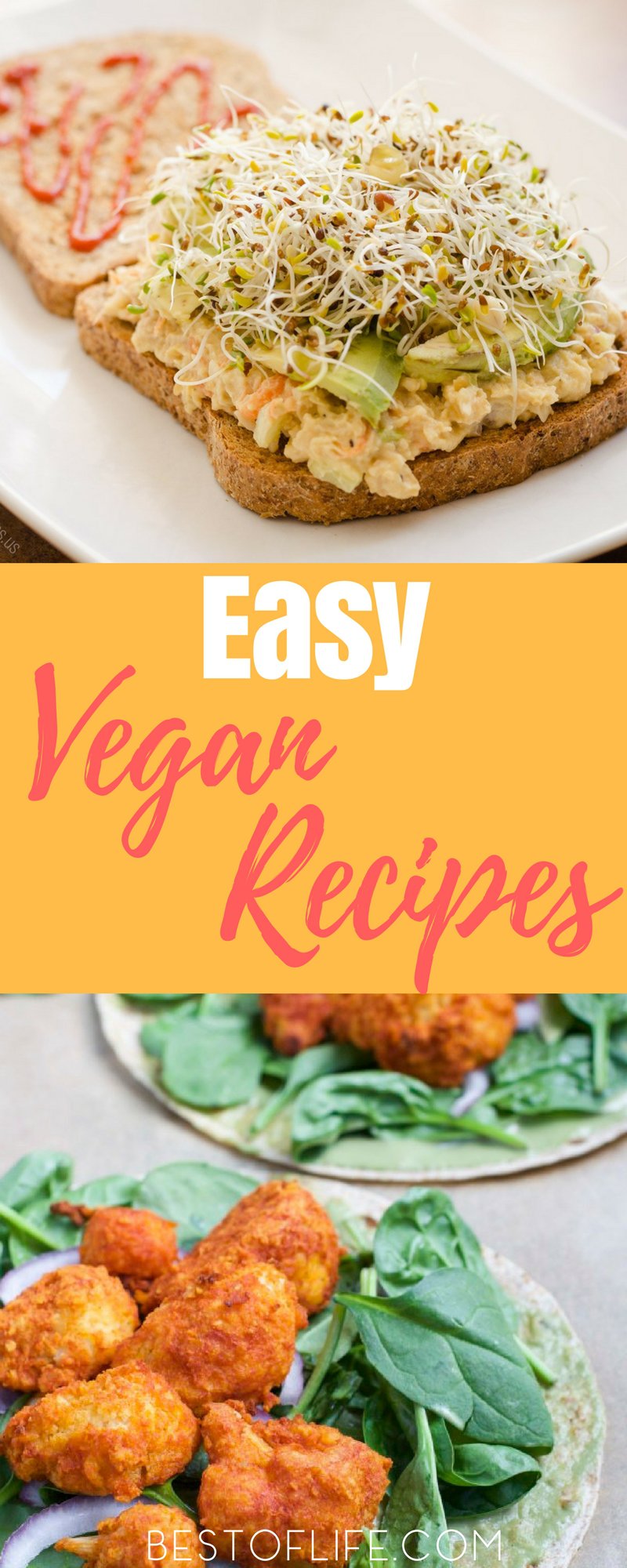 Easy vegan recipes can help you become or even stay a vegan without feeling like you’re missing out on something delicious. Best Vegan Recipes | Vegan Recipes for Beginners | How to Become a Vegan | Quick Vegan Recipes | Healthy Recipe without Meat | Meatless Recipes | Easy Recipes with Vegetables