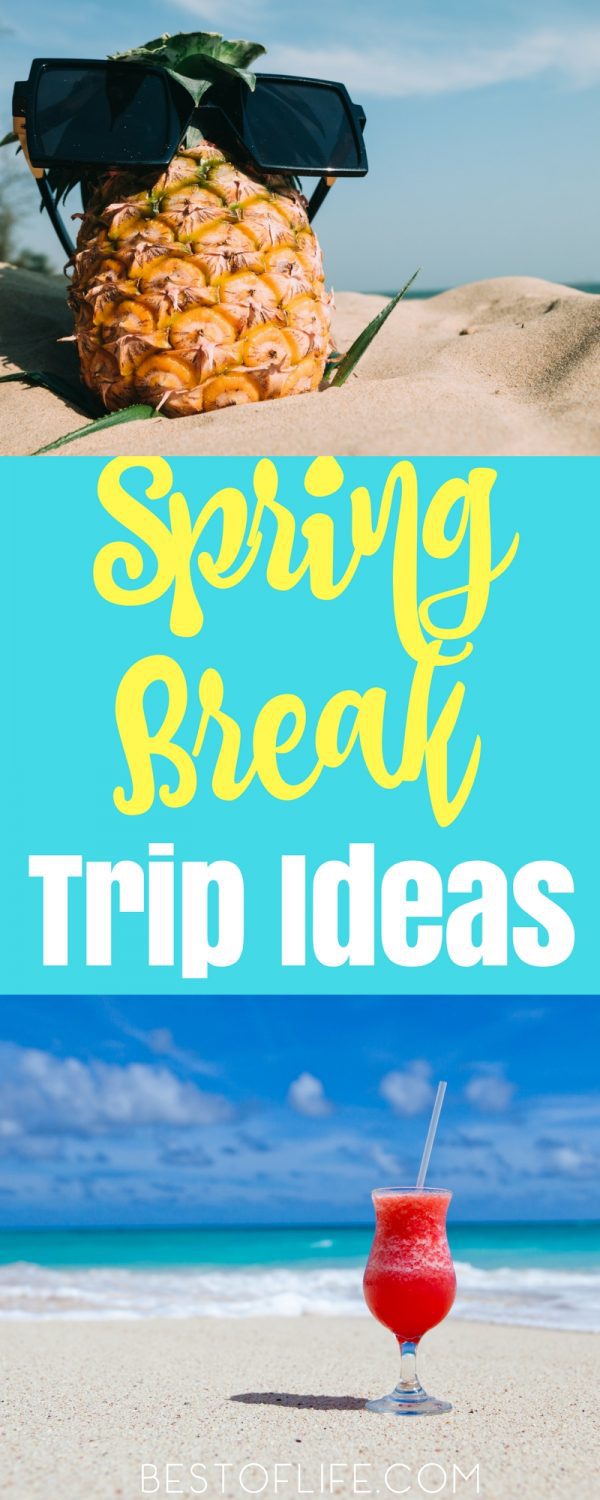 spring break trip ideas usa
