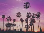 There are many tourist things to do in LA that gives the city life, gives the locals things to do, and make visitors feel like they’re center stage. Best Things to do in LA | Best Tourist Activities in LA | What to do in LA #LA #travel #thingstodo #LAfun