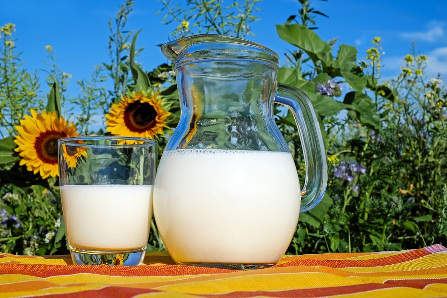 Whole30 Diet Rules a Glass Pitcher of Milk Next to a Glass of Milk on a Banister with Sunflowers in the Background
