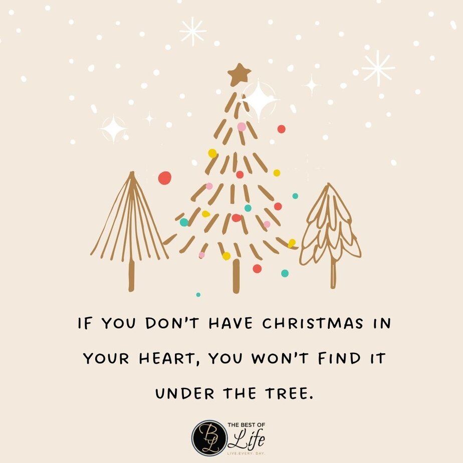 12 Days of Christmas Quotes for Kids If you don’t have Christmas in your heart, you won’t find it under the tree.
