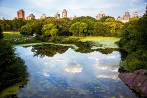 Best Things to Do in Central Park