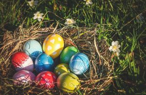 Easter Egg Hunt Party Ideas for Some Hopping Fun