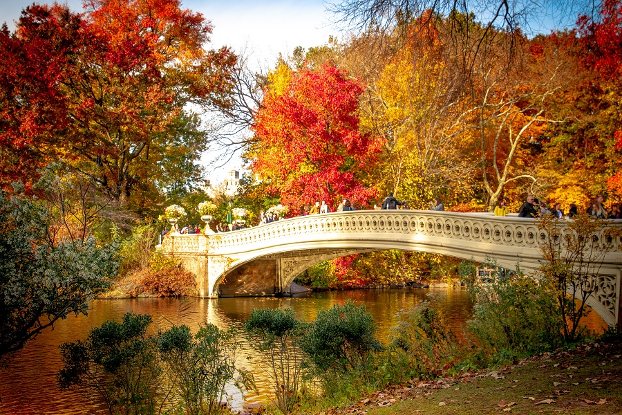 Make the most of your trip to New York City by filling your day with the best things to do in Central Park. Where is Central Park | How to Visit Central Park | What is Inside Central Park | How Big is Central Park | Activities in Central Park | Central Park Events