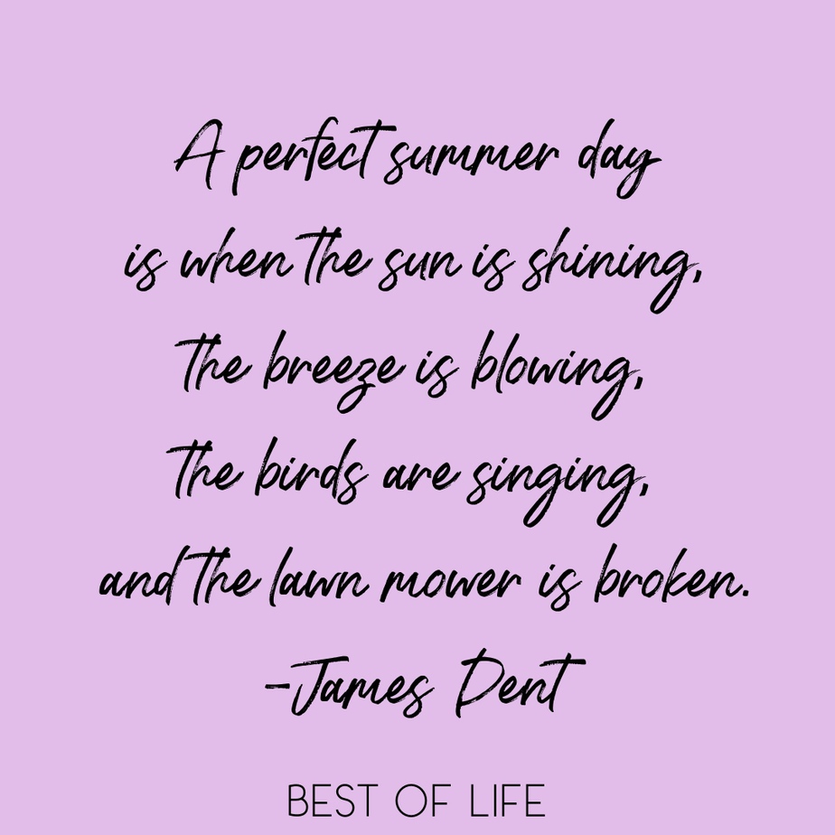 Summer Fun Quotes A perfect summer day is when the sun is shining, the breeze is blowing, the birds are singing, and the lawn mower is broken. - James Dent