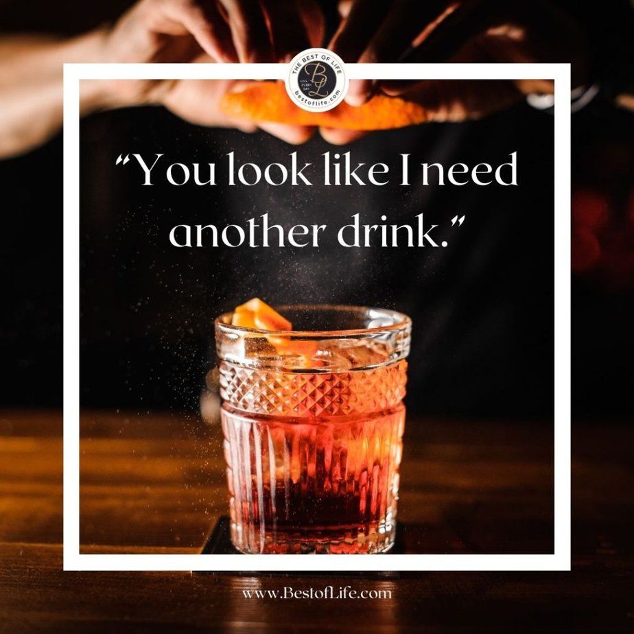 Funny Alcohol Quotes of the Day "You look like I need another drink."