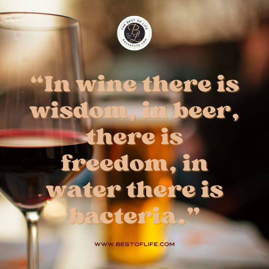 Funny Alcohol Quotes of the Day "In wine there is wisdom; in beer, there is freedom, in the water there is bacteria."