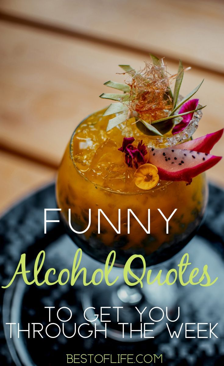 Funny Alcohol Quotes of the Day to Get you Through The