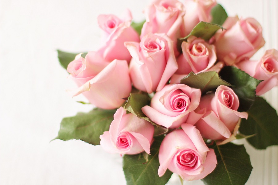 Elegant Bridal Shower roses