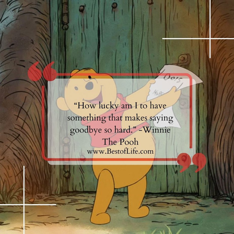 Disney Quotes About Friendship "How lucky am I to have something that makes saying goodbye so hard." -Winnie The Pooh