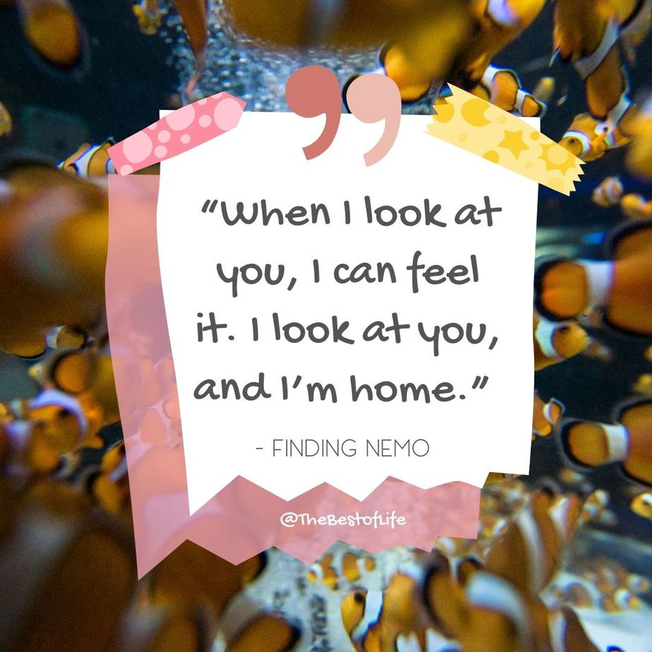 Disney Quotes About Friendship "When I look at you, I can feel it. I look at you, and I’m home." -Finding Nemo