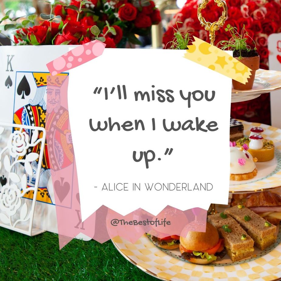Disney Quotes About Friendship "I’ll miss you when I wake up." -Alice in Wonderland