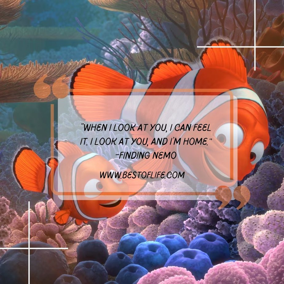 Disney Quotes About Friendship "When I look at you, I can feel it. I look at you, and I’m home." -Finding Nemo