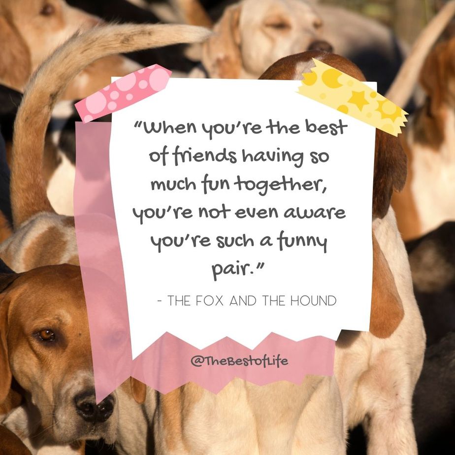Disney Quotes About Friendship "When you’re the best of friends having so much fun together, you’re not even aware you’re such a funny pair." -The Fox and the Hound