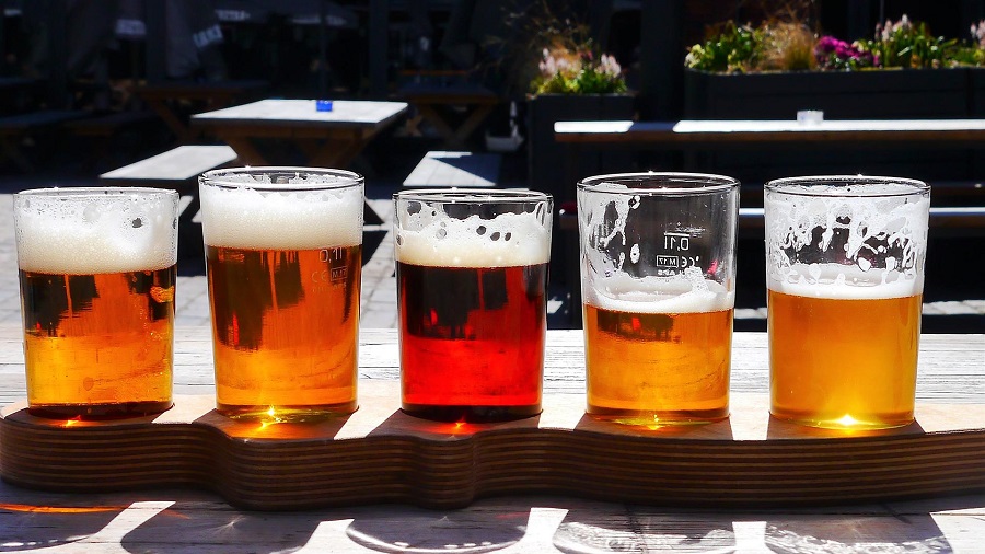 Craft Beer and Food Pairing Tips a Row of Five Different Craft Beers