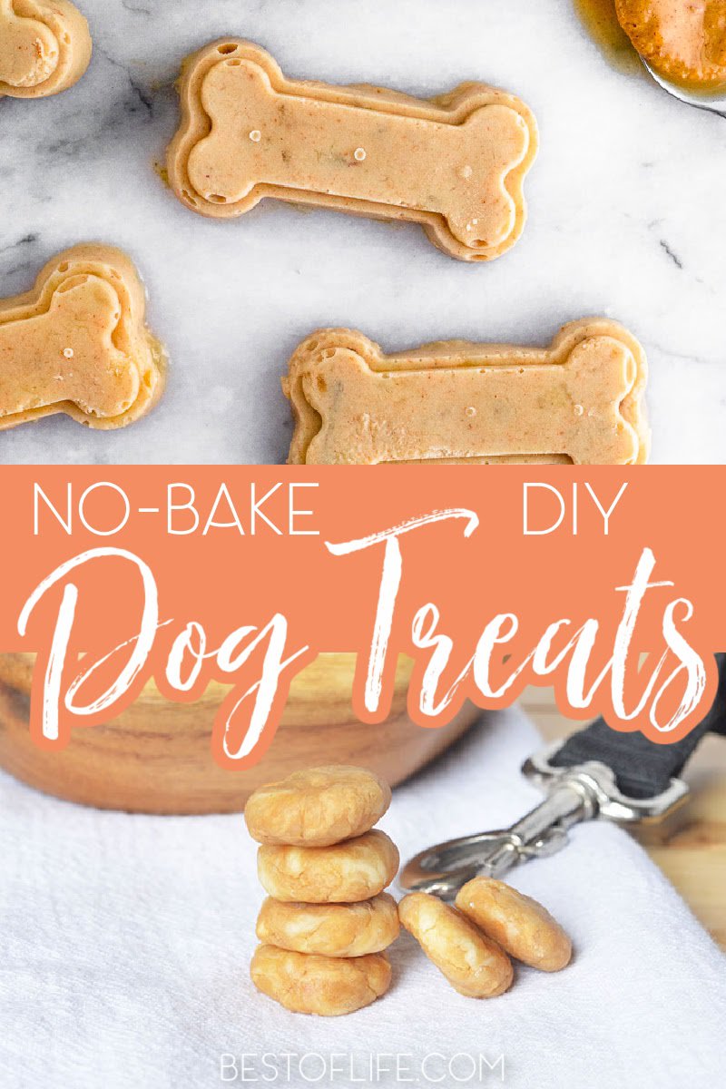 Easy No Bake Dog Treats for your Fur Baby - Best of Life