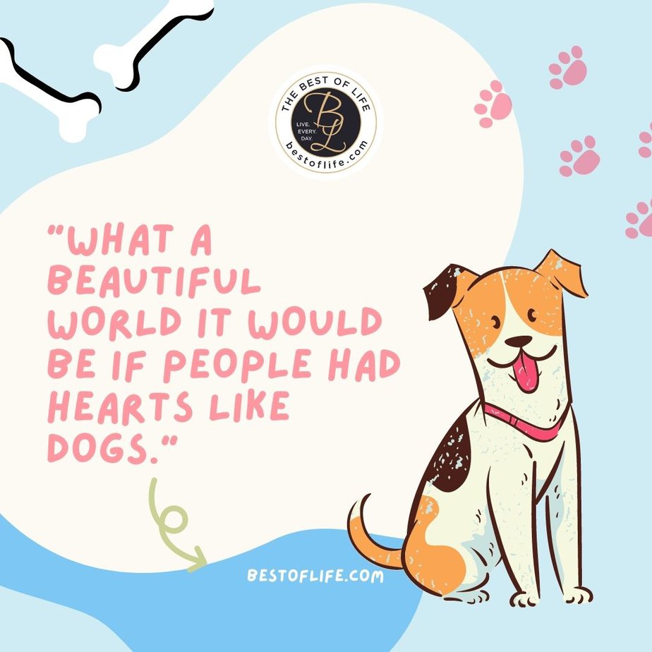 Dog Quotes About Love What a beautiful world it would be if people had hearts like dogs.