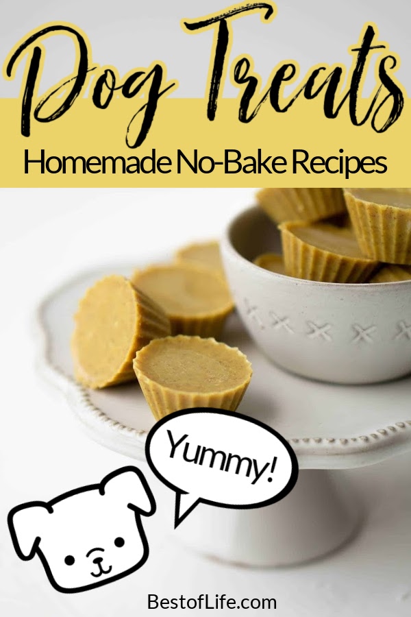 You can save a lot of money on dog treats when you learn how to make these healthy no bake dog treats right at home for your dog or cat. No Bake Dog Treats Without Peanut Butter | No Bake Dog Treats with Coconut Oil | No Bake Banana Dog Treats | 2 Ingredient Dog Treats | Dog Treat Recipes | Homemade Dog Treats | Cheap Dog Treats | Tips for Dog Owners | DIY Dog Treats | Recipes for Pet Owners | Recipes for Pets #dogtreats #petrecipes