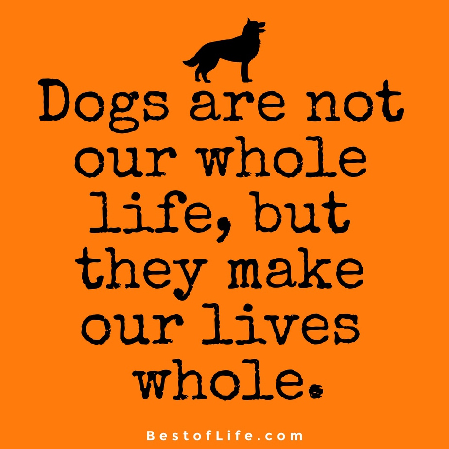 Sweet Dog Quotes About Love : The Best of Life