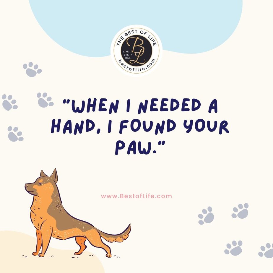 Dog Quotes About Love When I needed a hand, I found your paw.