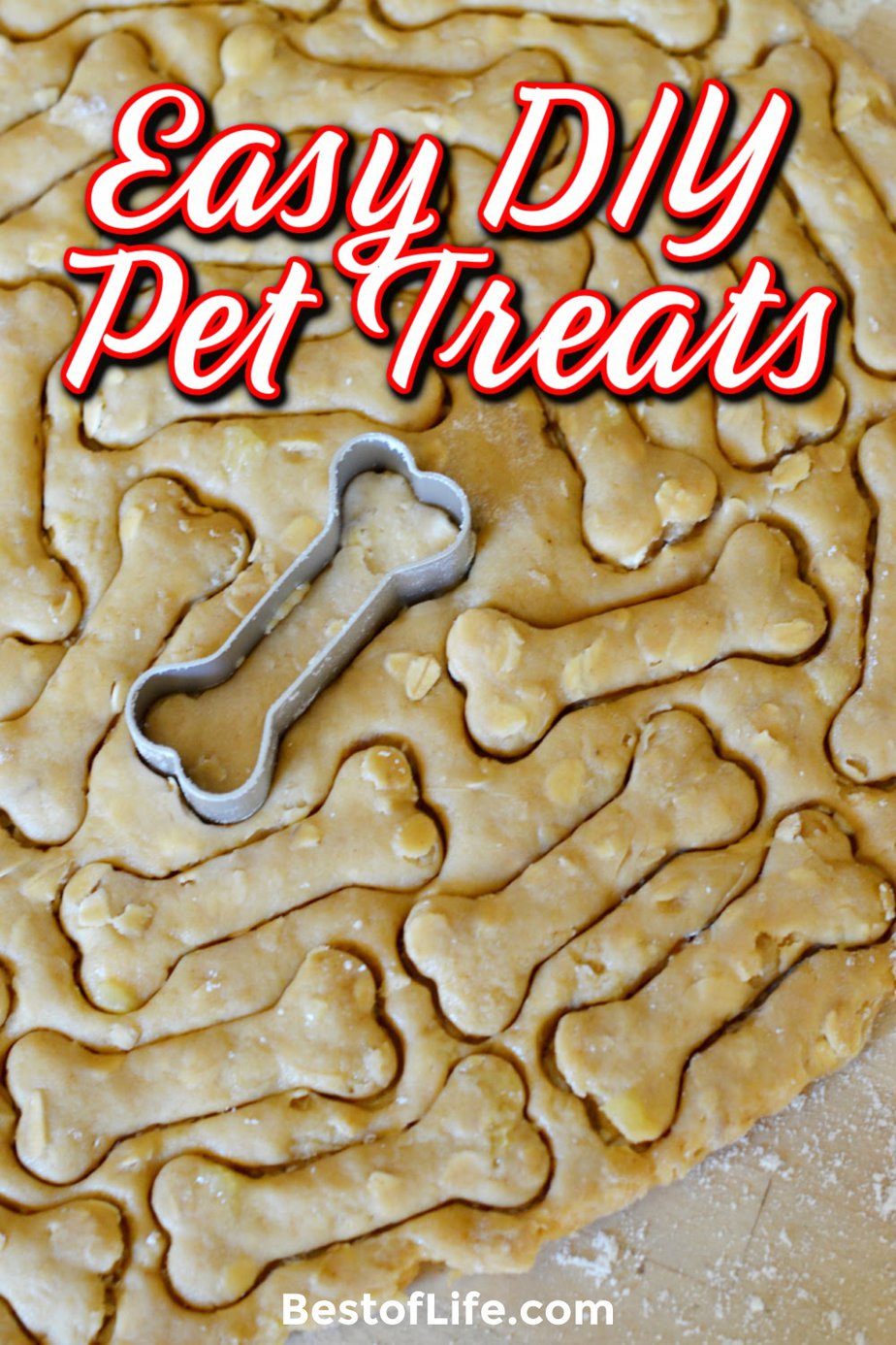 DIY pet treats are a great way to keep track of what you are feeding your pet, while also saving money as a pet owner. Pet Treats Recipes | Homemade Pet Treat Ideas | Tips for Packaging Pet Treats | Pet Treat Storage Ideas | DIY Pet Treat Jars | DIY Pet Food | Tips for Pet Owners | Ideas for Owning Pets #pets #DIY