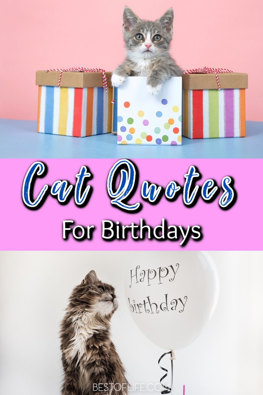 These fun cat quotes for birthdays are perfect for those who love their fur babies! Inspirational Cat Quotes | Funny Cat Quotes | Quotes About Cats | Quotes for Cat Lovers | Cat People Quotes | Birthday Quotes | Birthday Wishes #cats #birthday