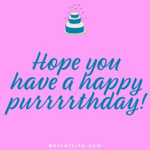Cat Quotes for Birthdays - Best of Life