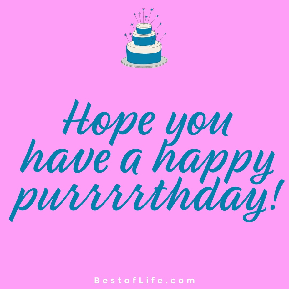 Cat Quotes for Birthdays Hope you have a happy purrrrthday!