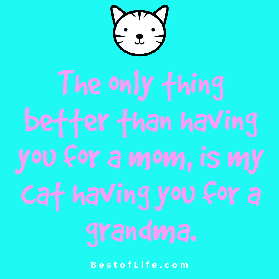 Cat Quotes for Mother's Day The only thing better than having you for a mom, is my cat having you for a grandma.