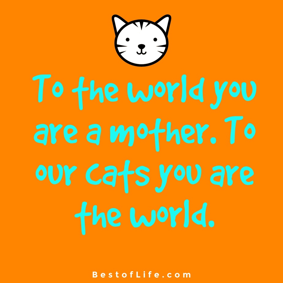 Cat Quotes For Mother S Day Best Of Life