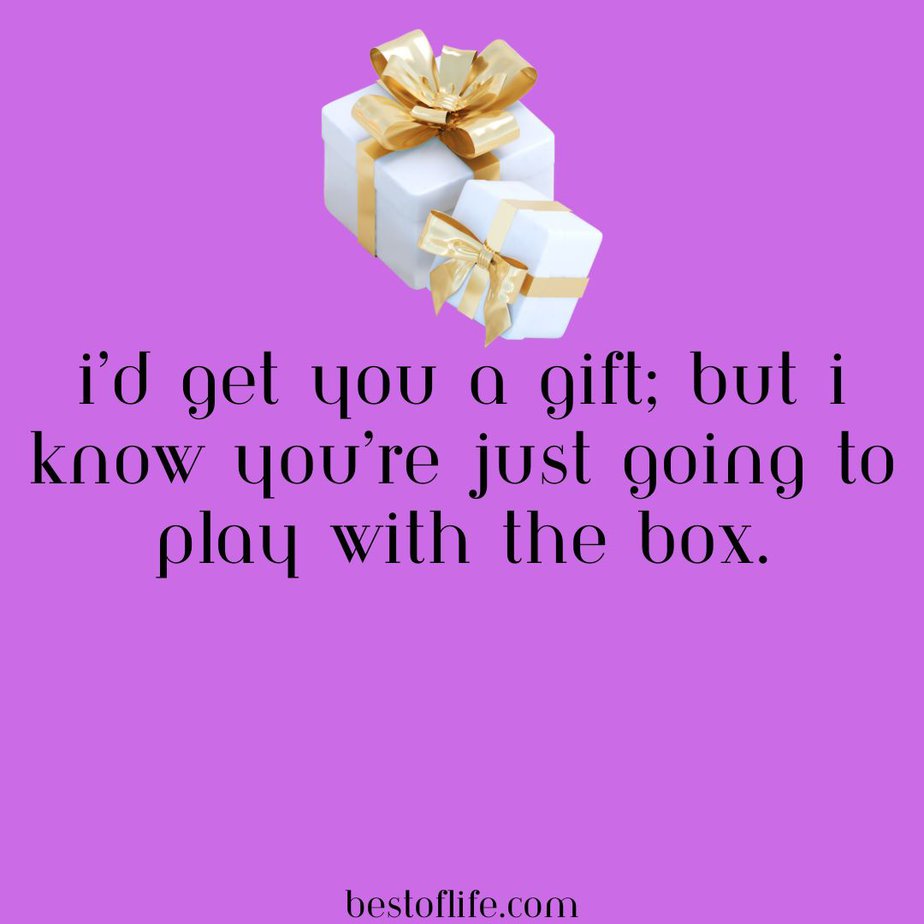 Cat Quotes for Birthdays I’d get you a gift, but I know you’re just going to play with the box.