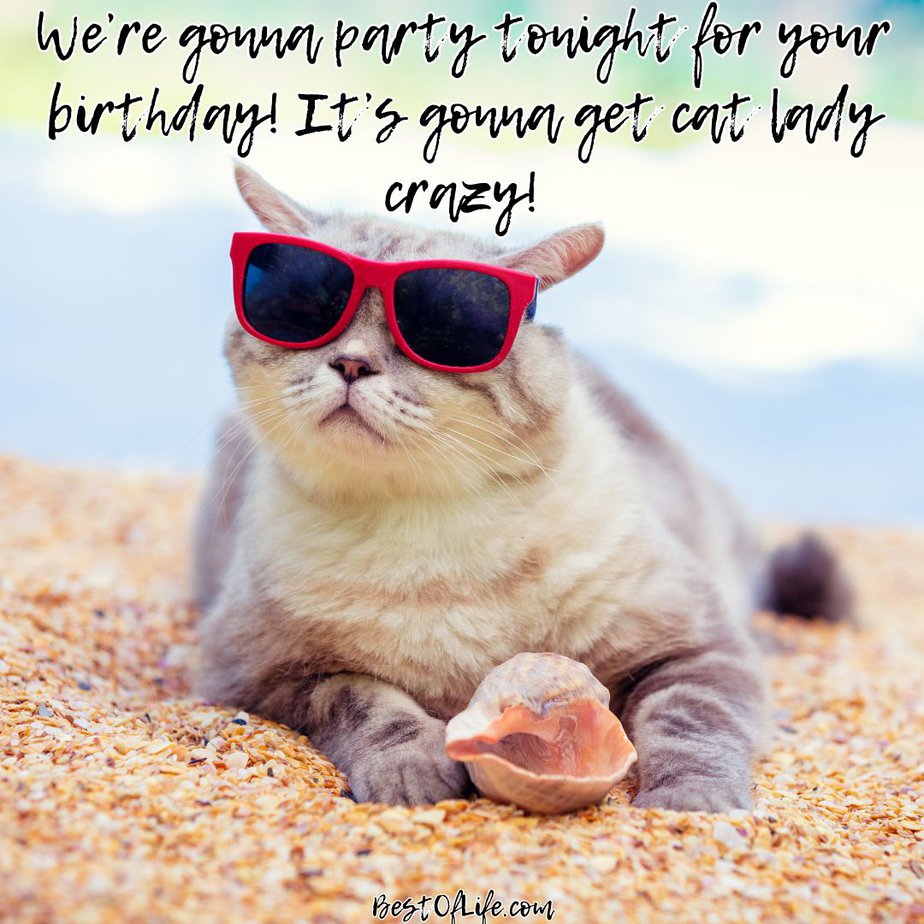 Cat Quotes for Birthdays We’re gonna party tonight for your birthday! It’s gonna get cat lady crazy!