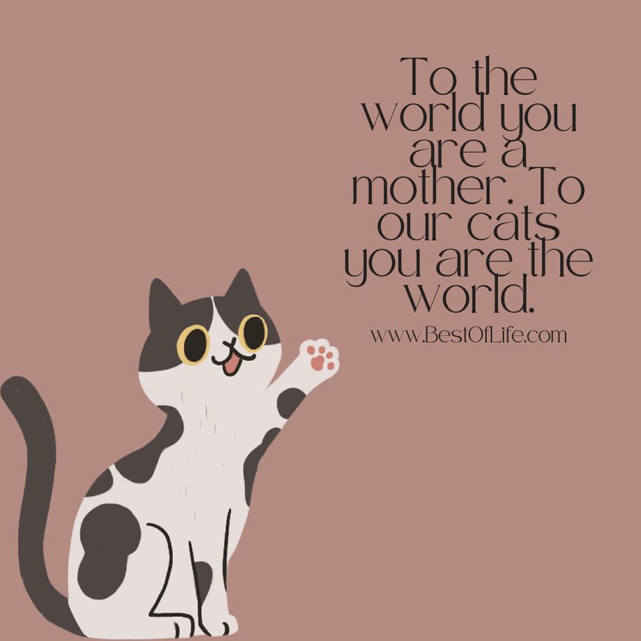 Cat Quotes for Mother's Day To the world you are a mother. To our cats you are the world.