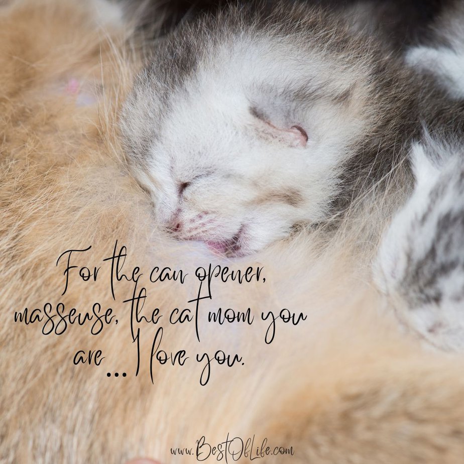 Cat Quotes for Mother's Day For the can opener, masseuse, the cat mom you are…I love you.