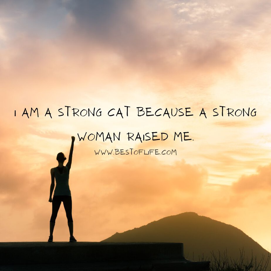 Cat Quotes for Mother's Day I am a strong cat because a strong woman raised me.